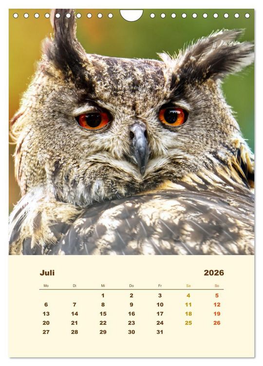 Produktbild: Uhu, die Faszination bernsteinfarbener Augen (Wandkalender 2026 DIN A4 hoch), CALVENDO Monatskalender