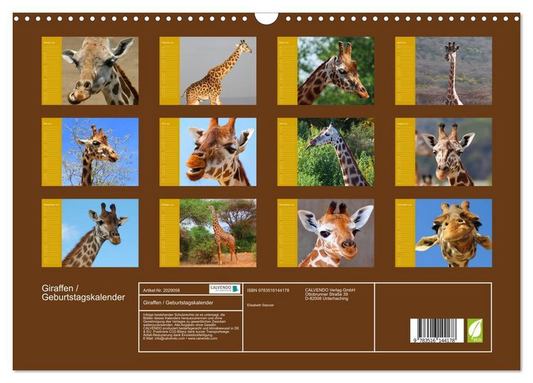 Produktbild: Giraffen / Geburtstagskalender (Wandkalender 2026 DIN A3 quer), CALVENDO Monatskalender
