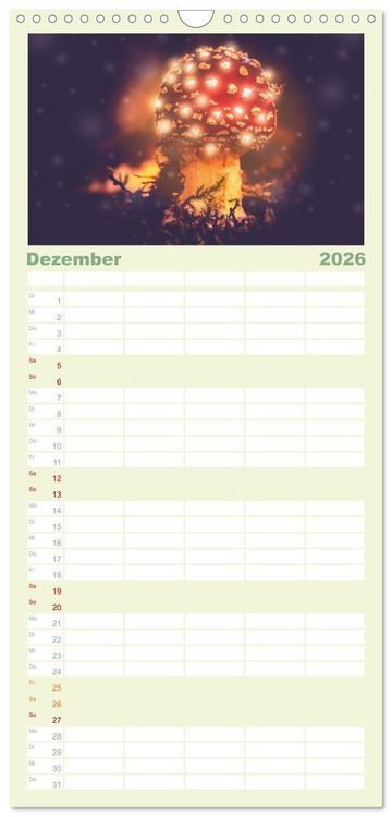 Produktbild: Familienplaner 2026 - Die Welt der Fliegenpilze mit 5 Spalten (Wandkalender, 21 x 45 cm) CALVENDO