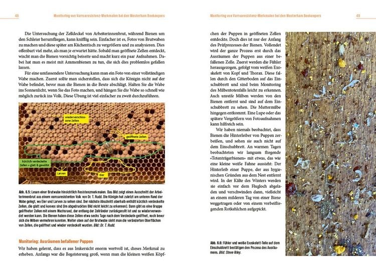 Produktbild: Die L&ouml;sung der Honigbiene f&uuml;r das Varroa-Problem