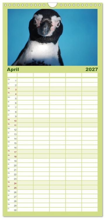 Produktbild: Familienplaner 2027 - Pinguine 2027 mit 5 Spalten (Wandkalender, 21 x 45 cm) CALVENDO