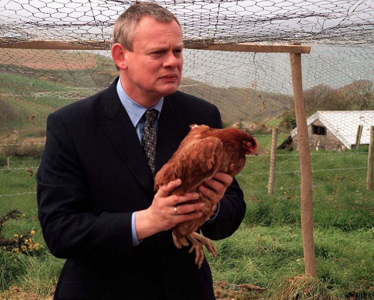 Produktbild: Doc Martin - Staffel 1 [2 DVDs]