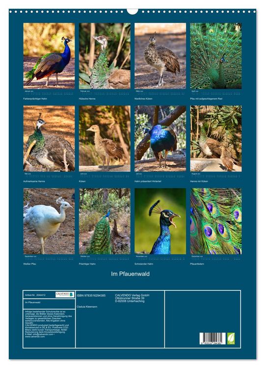 Produktbild: Im Pfauenwald (Wandkalender 2026 DIN A2 hoch), CALVENDO Monatskalender