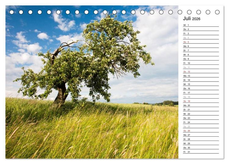Produktbild: DER STEIGERWALD - Impressionen einer Landschaft (Tischkalender 2026 DIN A5 quer), CALVENDO Monatskalender