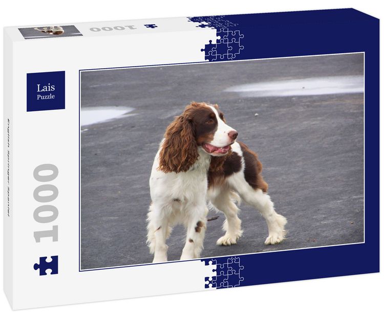 Produktbild: Lais Puzzle English Springer Spaniel 1000 Teile