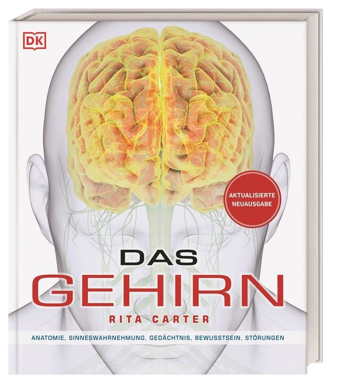 Produktbild: Das Gehirn