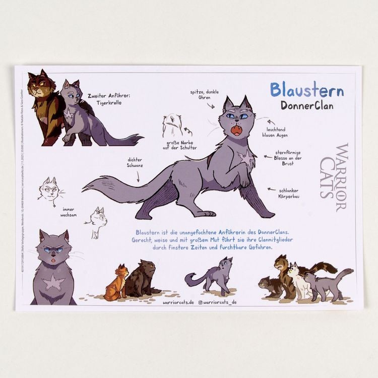 Produktbild: Warrior Cats - Die Prophezeiungen beginnen