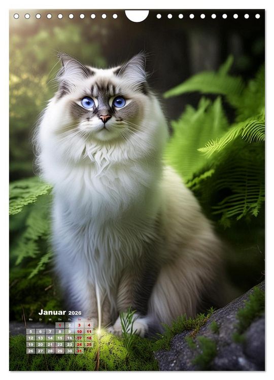 Produktbild: Pfotenabenteuer - Ragdolls in der Natur (Wandkalender 2026 DIN A4 hoch), CALVENDO Monatskalender