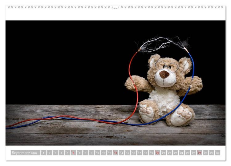 Produktbild: Eddy, der Teddy - 12 Bilder zum Schmunzeln (hochwertiger Premium Wandkalender 2026 DIN A2 quer), Kunstdruck in Hochglanz