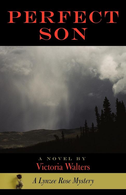 Produktbild: Perfect Son