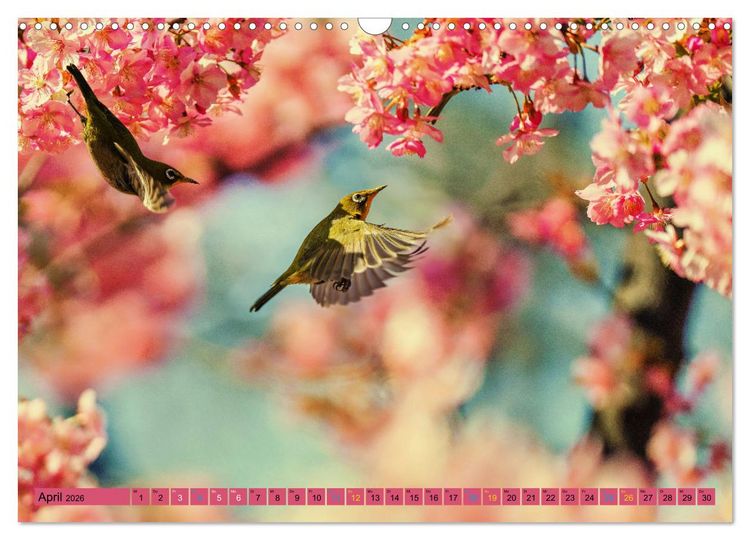 Produktbild: JAPAN - Im Land des L&auml;chelns (Wandkalender 2026 DIN A3 quer), CALVENDO Monatskalender