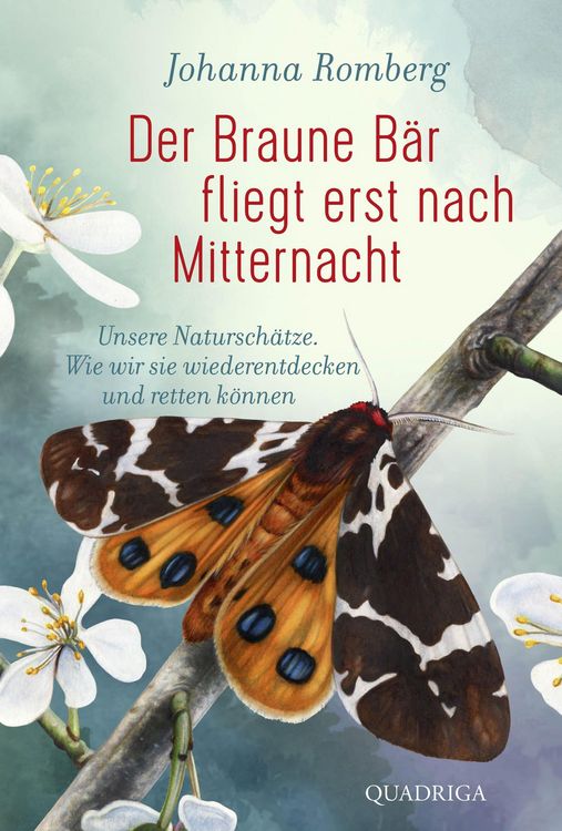 Produktbild: Der Braune B&auml;r fliegt erst nach Mitternacht