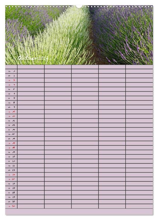 Produktbild: Naturzauber Lavendel - Familienplaner (Wandkalender 2026 DIN A2 hoch), CALVENDO Monatskalender