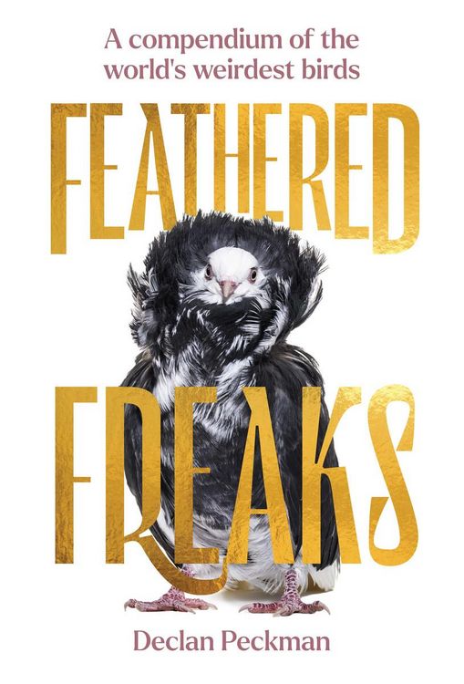 Produktbild: Feathered Freaks