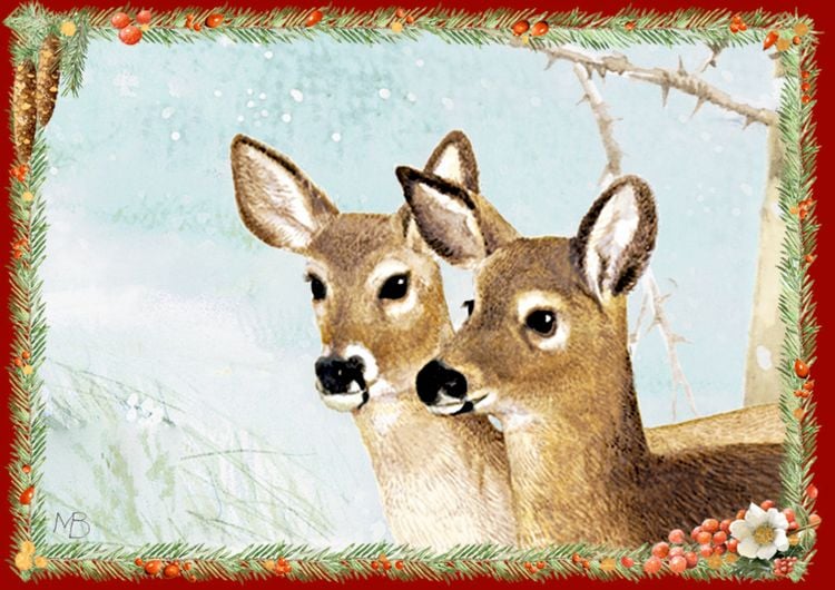 Produktbild: Mini-Adventskalender-Sortiment &ndash; Marjoleins Weihnachtsgr&uuml;&szlig;e
