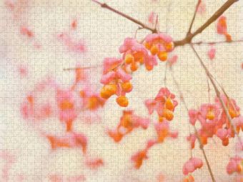 Produktbild: CALVENDO Puzzle Natursch&ouml;nheiten | 2000 Teile Lege-Gr&ouml;&szlig;e 90x67cm Foto-Puzzle f&uuml;r gl&uuml;ckliche Stunden