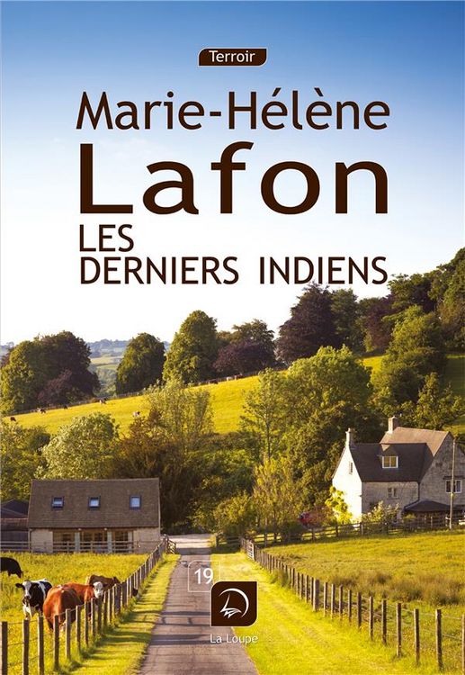 Produktbild: Les derniers indiens