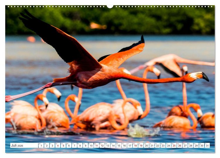 Produktbild: Unterwegs auf Yucatan Mexiko (hochwertiger Premium Wandkalender 2026 DIN A2 quer), Kunstdruck in Hochglanz