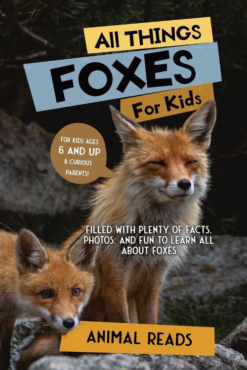 Produktbild: All Things Foxes For Kids