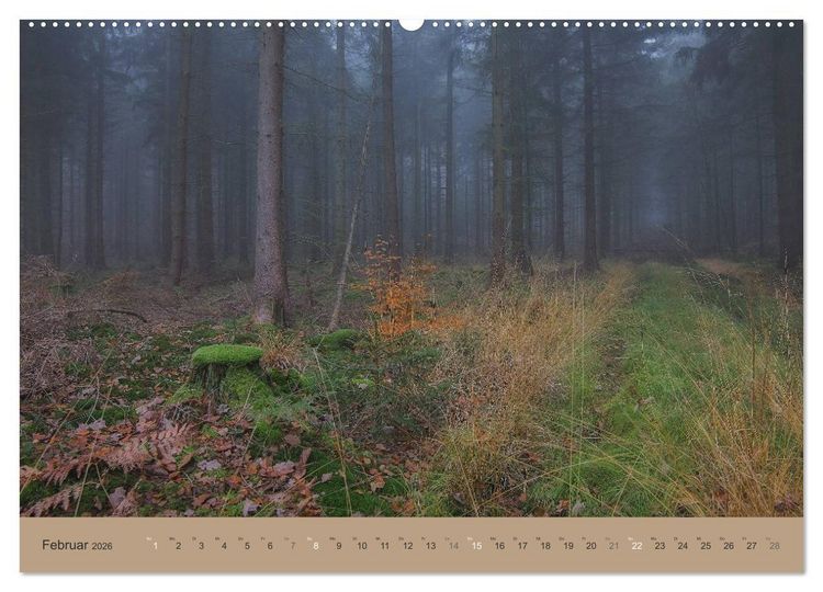 Produktbild: Unser Wald - Magische Sichten in norddeutsche W&auml;lder (Wandkalender 2026 DIN A2 quer), CALVENDO Monatskalender
