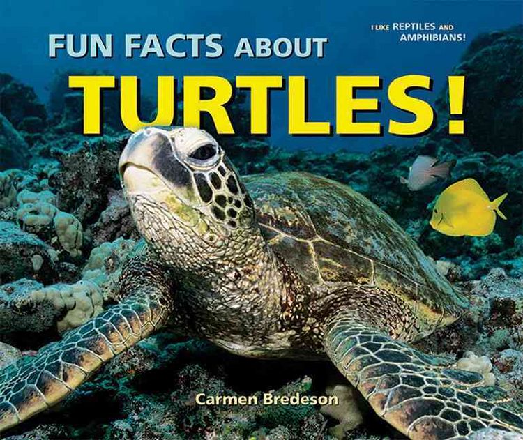 Produktbild: Fun Facts Abt Turtles