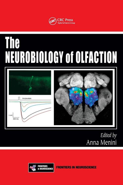 Produktbild: The Neurobiology of Olfaction