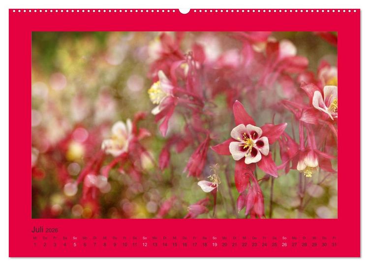 Produktbild: 12 Farben (hochwertiger Premium Wandkalender 2026 DIN A2 quer), Kunstdruck in Hochglanz