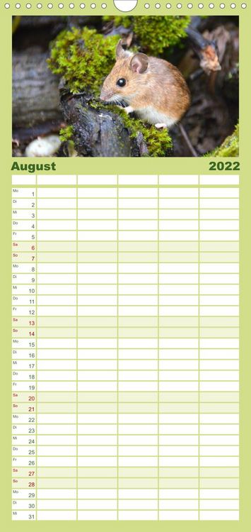 Produktbild: Familienplaner ... hier kommt die Maus ... (Wandkalender 2022 , 21 cm x 45 cm, hoch)
