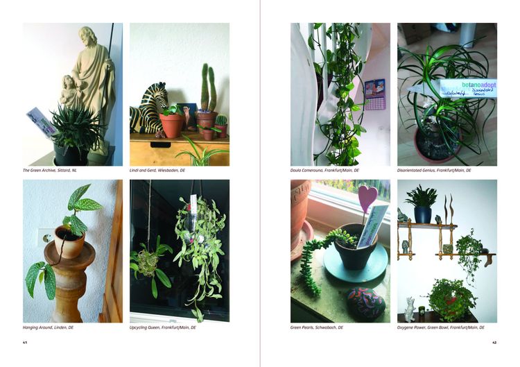 Produktbild: Urban Plants