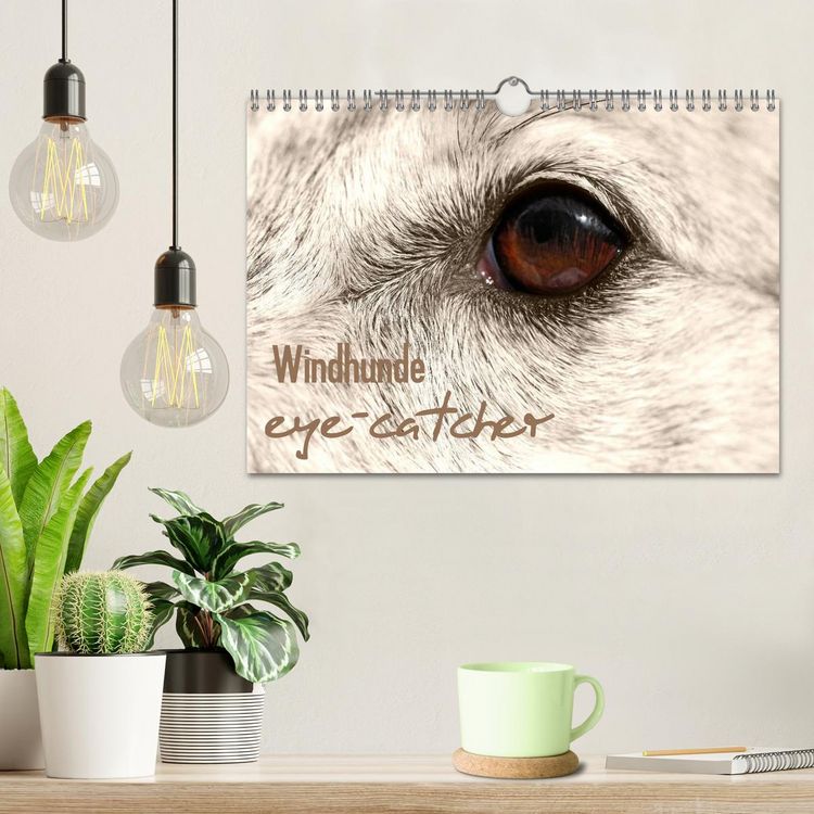 Produktbild: Windhunde eye-catcher (Wandkalender 2026 DIN A4 quer), CALVENDO Monatskalender