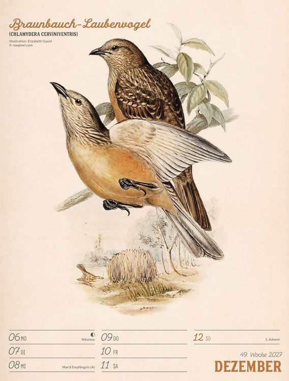 Produktbild: Wunderbare Vogelwelt Wochenplaner Kalender 2027