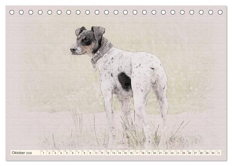 Produktbild: Bodeguero Andaluz 2026 (Tischkalender 2026 DIN A5 quer), CALVENDO Monatskalender