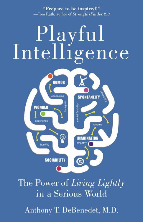 Produktbild: Playful Intelligence