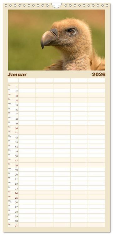 Produktbild: Familienplaner 2026 - Die Geier sind los mit 5 Spalten (Wandkalender, 21 x 45 cm) CALVENDO