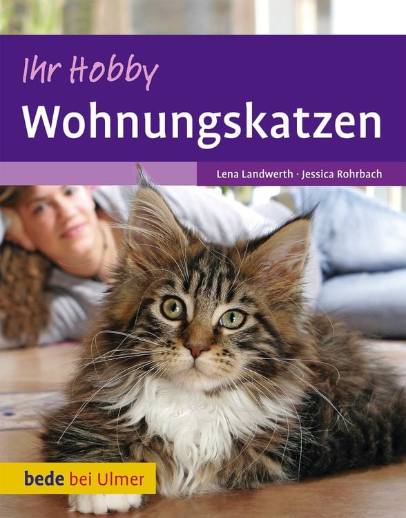 Bild vom Artikel Ihr Hobby Wohnungskatzen vom Autor Lena Landwerth