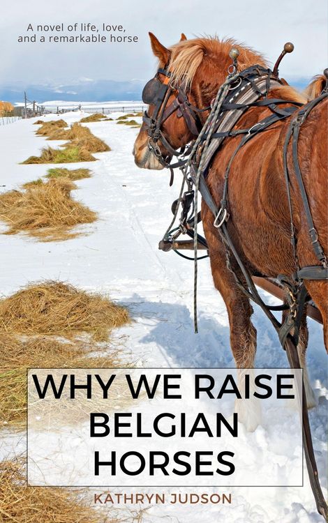 Produktbild: Why We Raise Belgian Horses