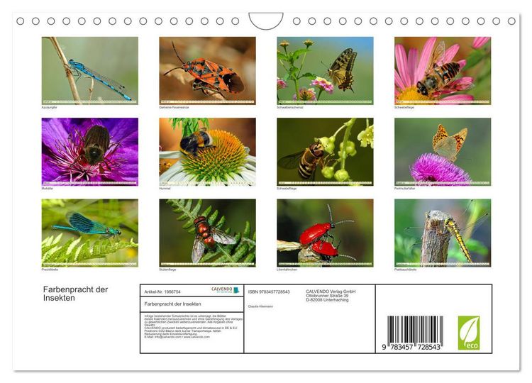 Produktbild: Farbenpracht der Insekten (Wandkalender 2026 DIN A4 quer), CALVENDO Monatskalender