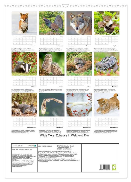 Produktbild: Wilde Tiere: Zuhause in Wald und Flur (Wandkalender 2026 DIN A2 hoch), CALVENDO Monatskalender