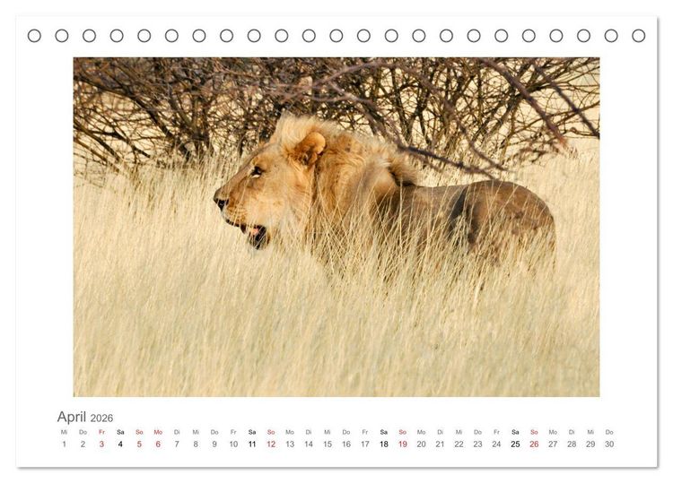 Produktbild: Namibia - unterwegs mit Julia Hahn (Tischkalender 2026 DIN A5 quer), CALVENDO Monatskalender