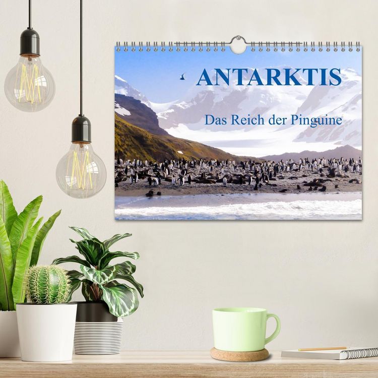 Produktbild: Antarktis - Das Reich der Pinguine (Wandkalender 2026 DIN A4 quer), CALVENDO Monatskalender