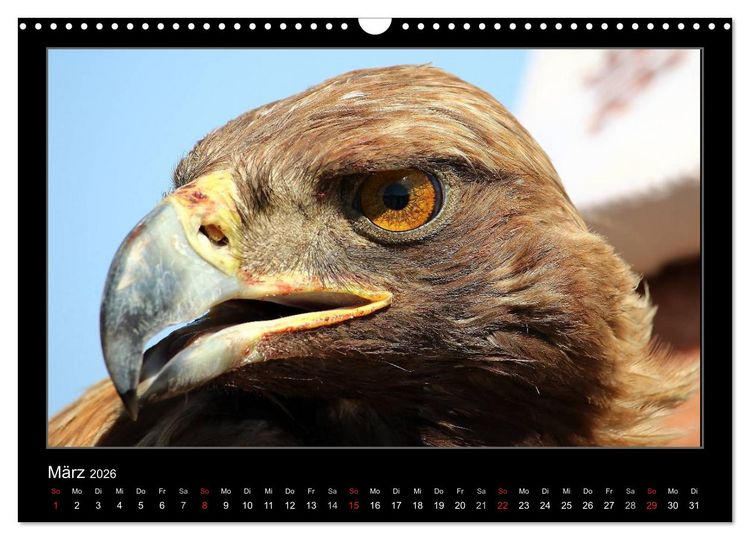 Produktbild: Unbekanntes Kirgistan (Wandkalender 2026 DIN A3 quer), CALVENDO Monatskalender