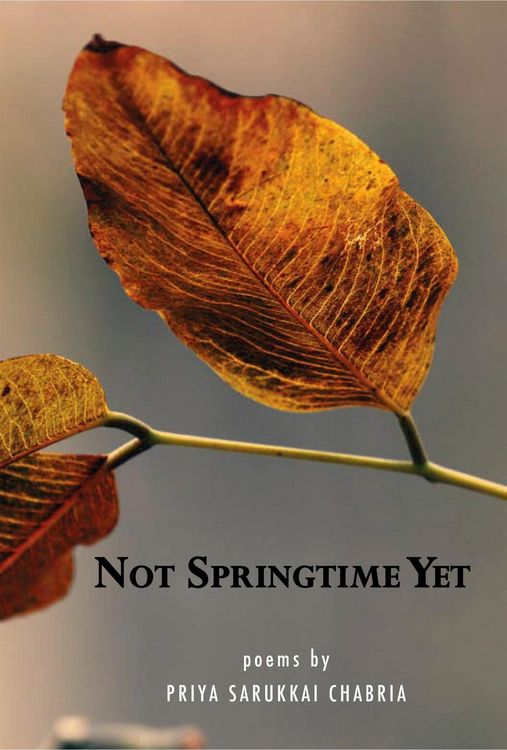 Produktbild: Not Springtime Yet