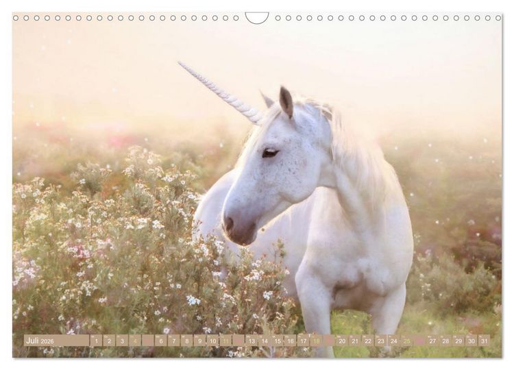 Produktbild: Einhorn Zauber - anmutige Einhornbilder (Wandkalender 2026 DIN A3 quer), CALVENDO Monatskalender