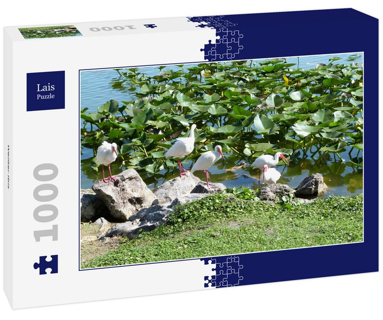 Produktbild: Lais Puzzle Wei&szlig;er Ibis 1000 Teile