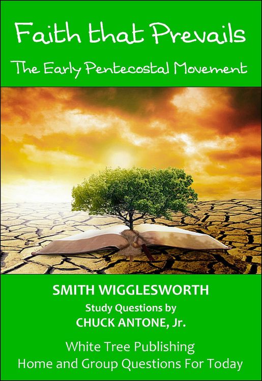 Produktbild: Faith that Prevails - Home and Group Questions for Today