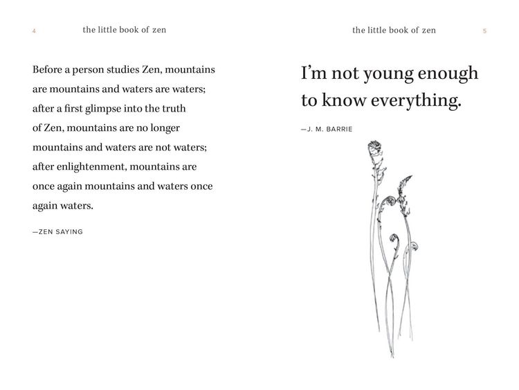 Produktbild: The Little Book of Zen