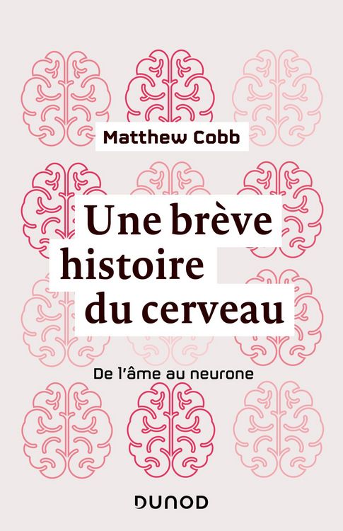 Produktbild: Une br&egrave;ve histoire du cerveau