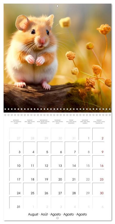 Produktbild: Sweet HAMSTERS (Wall Calendar 2026 12 &times; 12 Inch) CALVENDO 12 Month Wall Calendar