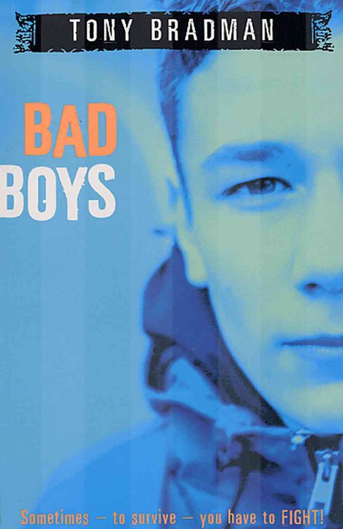Produktbild: Bad Boys