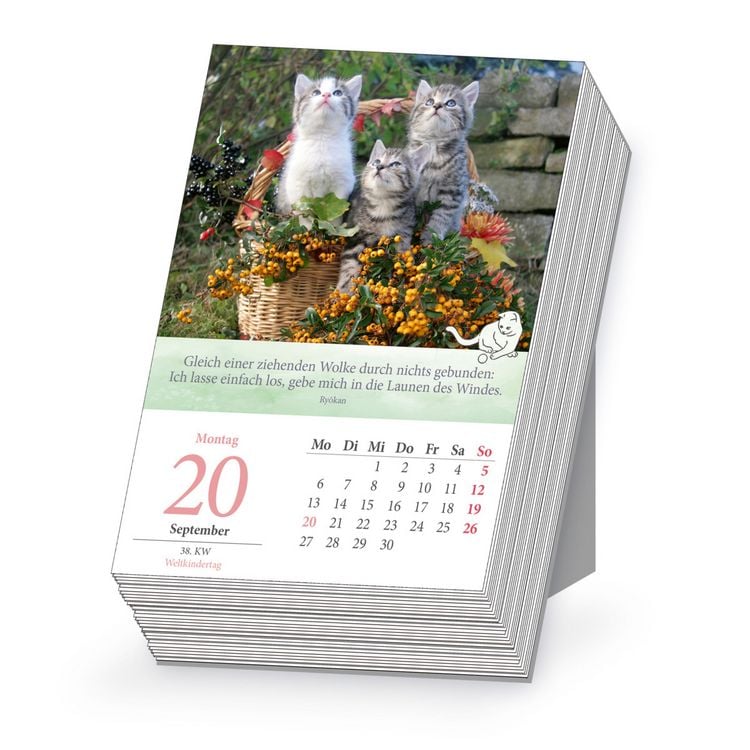 Produktbild: TR&Ouml;TSCH - Abrei&szlig;kalender Katzen 2027